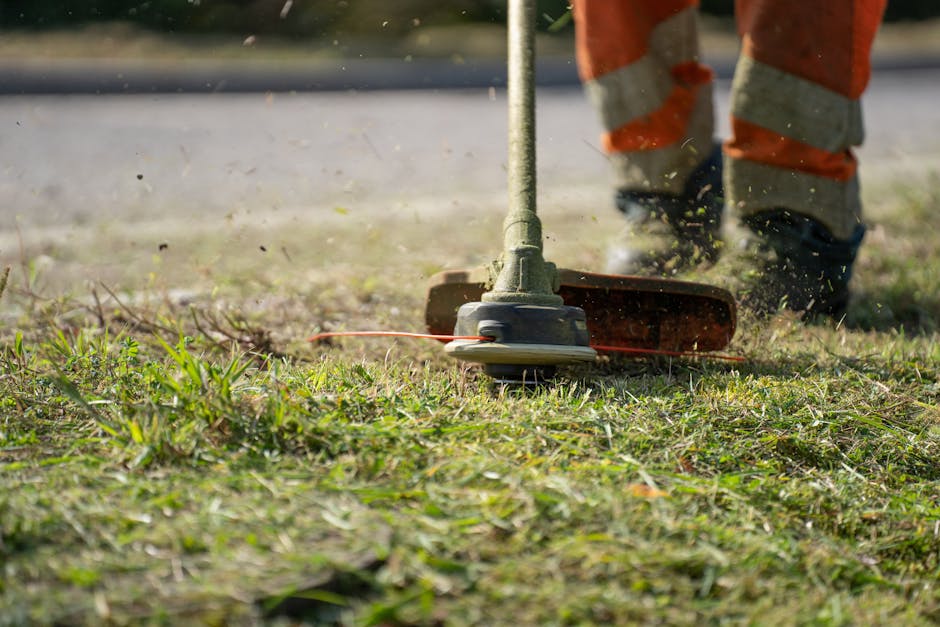 Dedicated landscaping professional