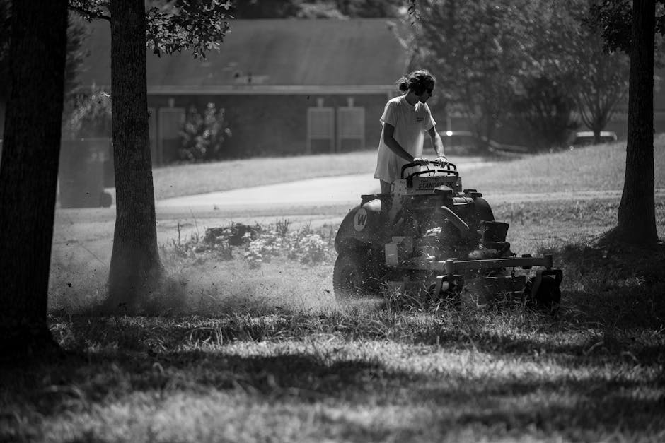 Professional lawn mowing and care
